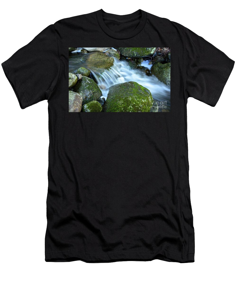 Life T-Shirt featuring the photograph Life by Alana Ranney