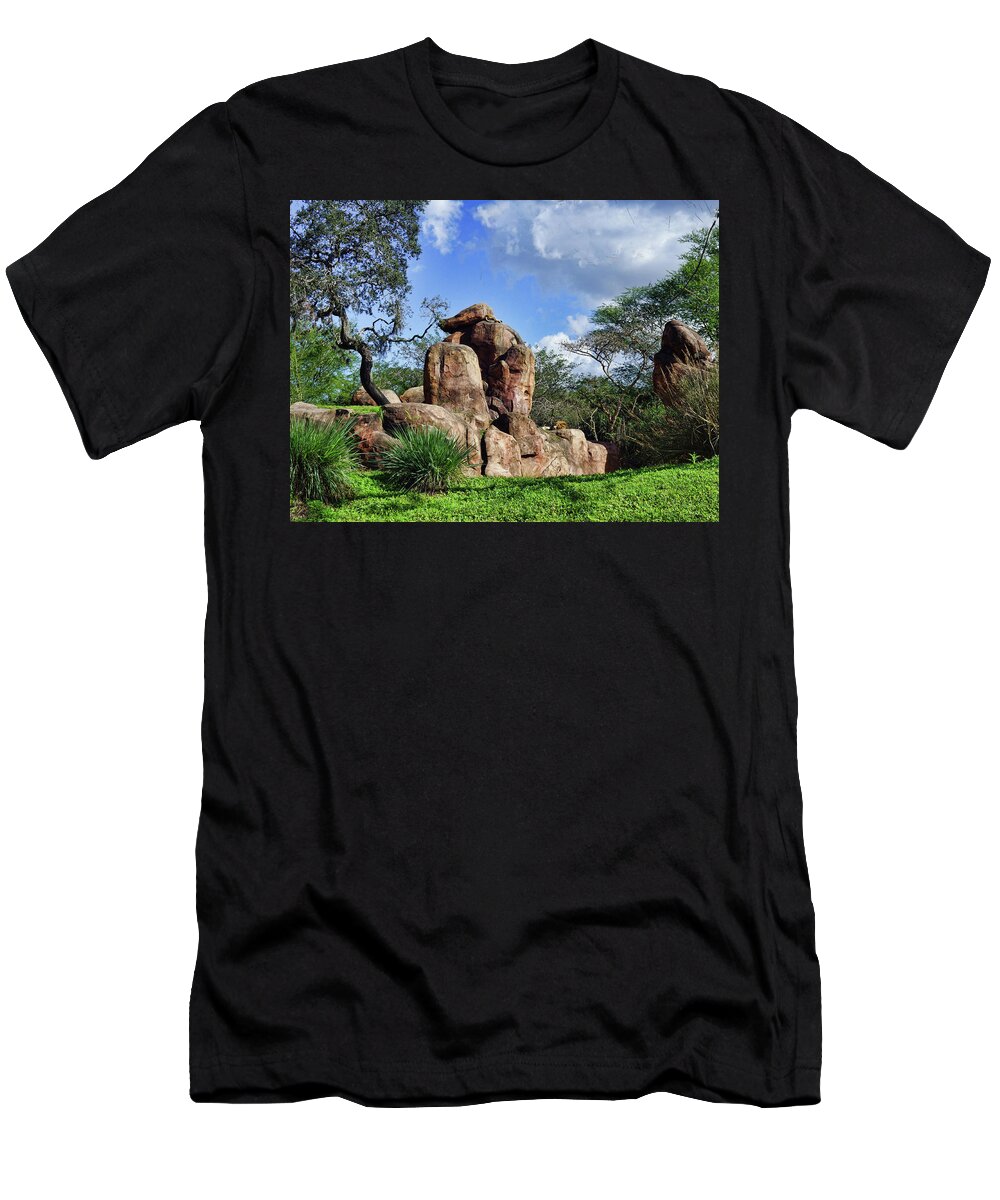 Landscape. Disney Land T-Shirt featuring the photograph Lions On The Rock by M Three Photos