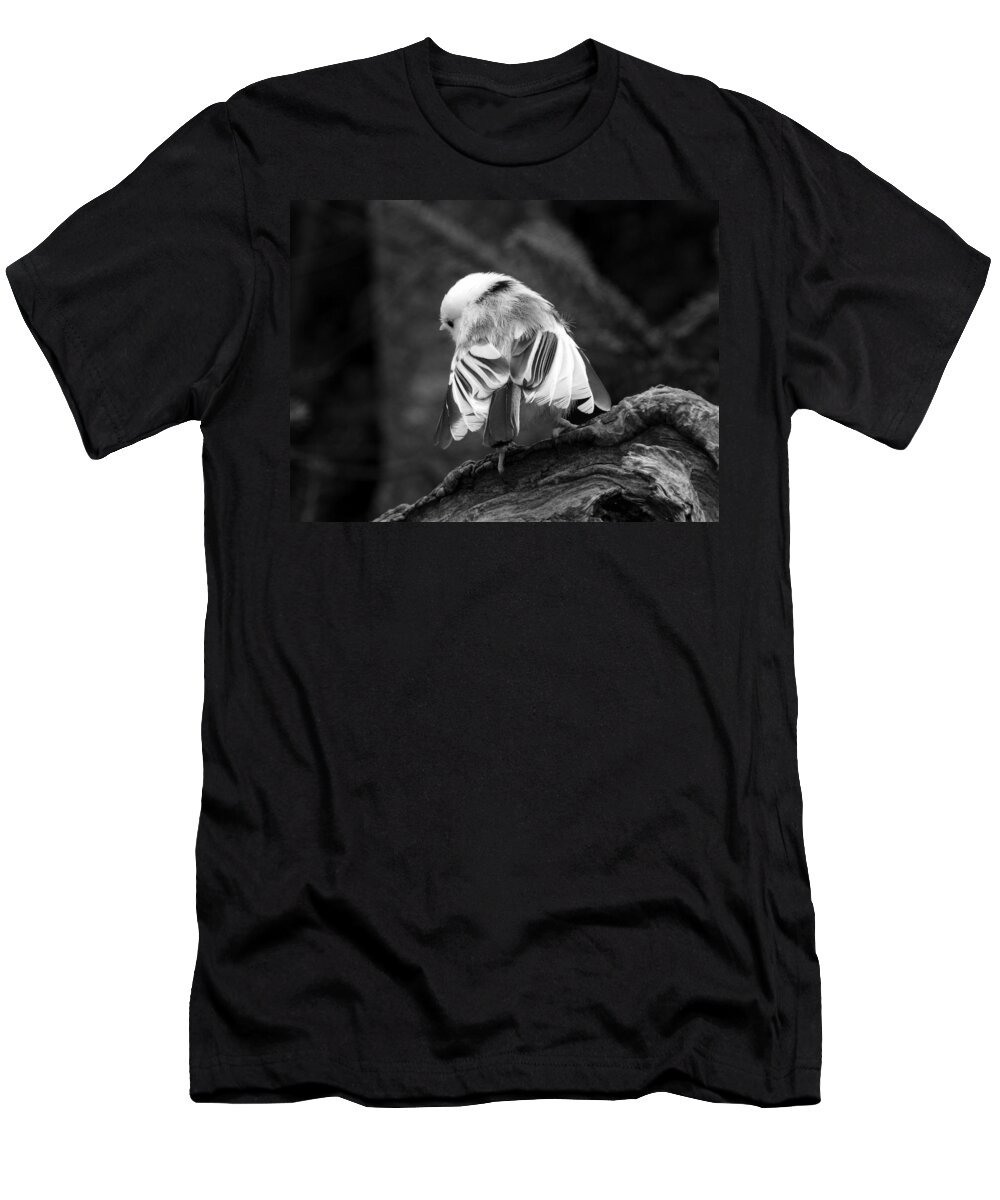 Bird T-Shirt featuring the photograph Little Ballerina by Zinvolle Art