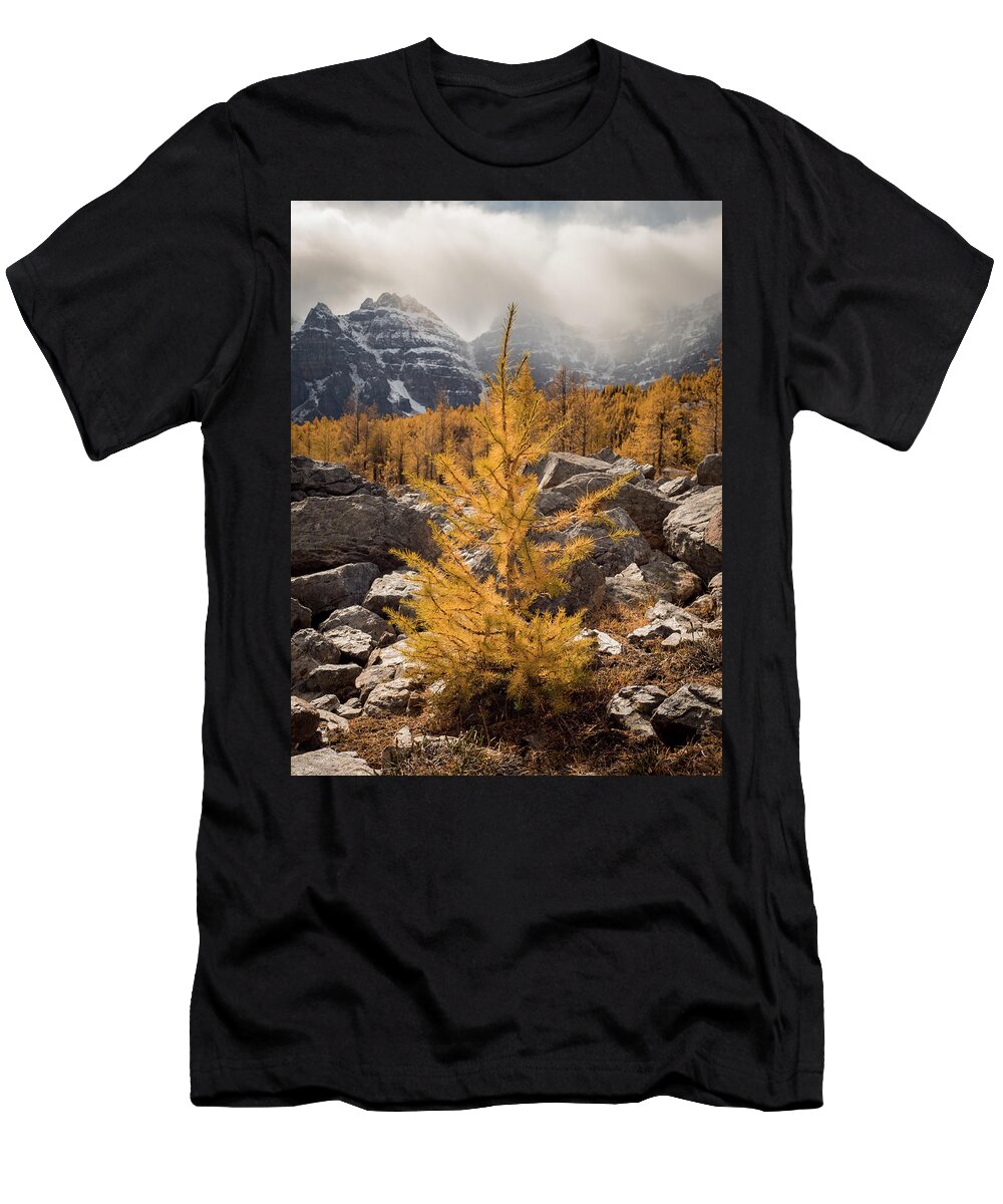 Larch T-Shirt featuring the photograph Little One by Emily Dickey