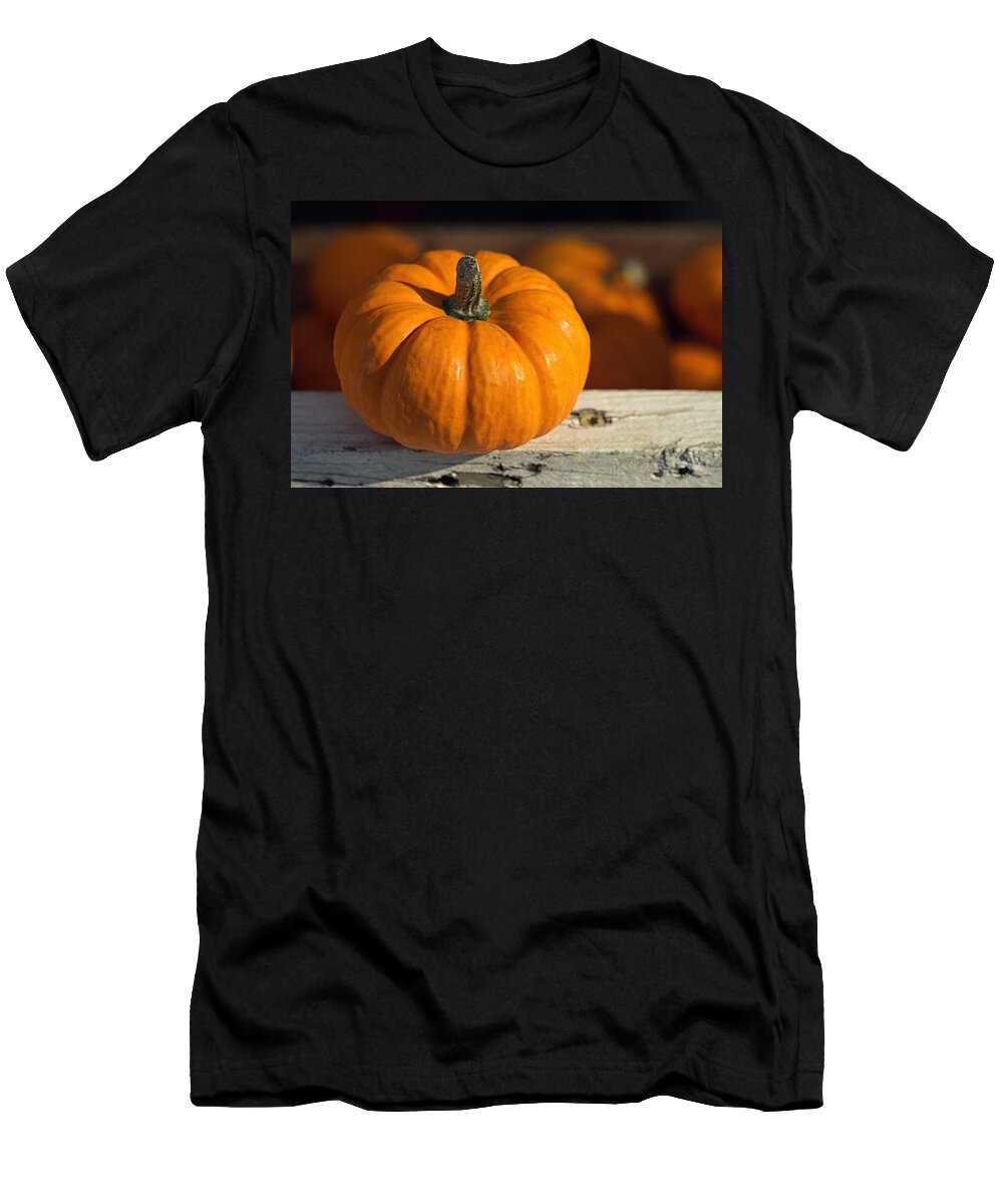 Skompski T-Shirt featuring the photograph Little Pumpkin by Joseph Skompski