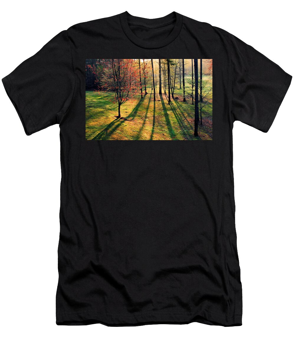 Autumn T-Shirt featuring the photograph Long Shadows by Kristin Elmquist