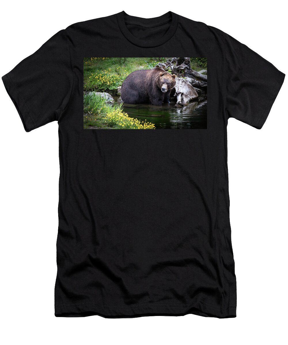 Bear T-Shirt featuring the photograph Looking for Dinner by Bruce Bonnett