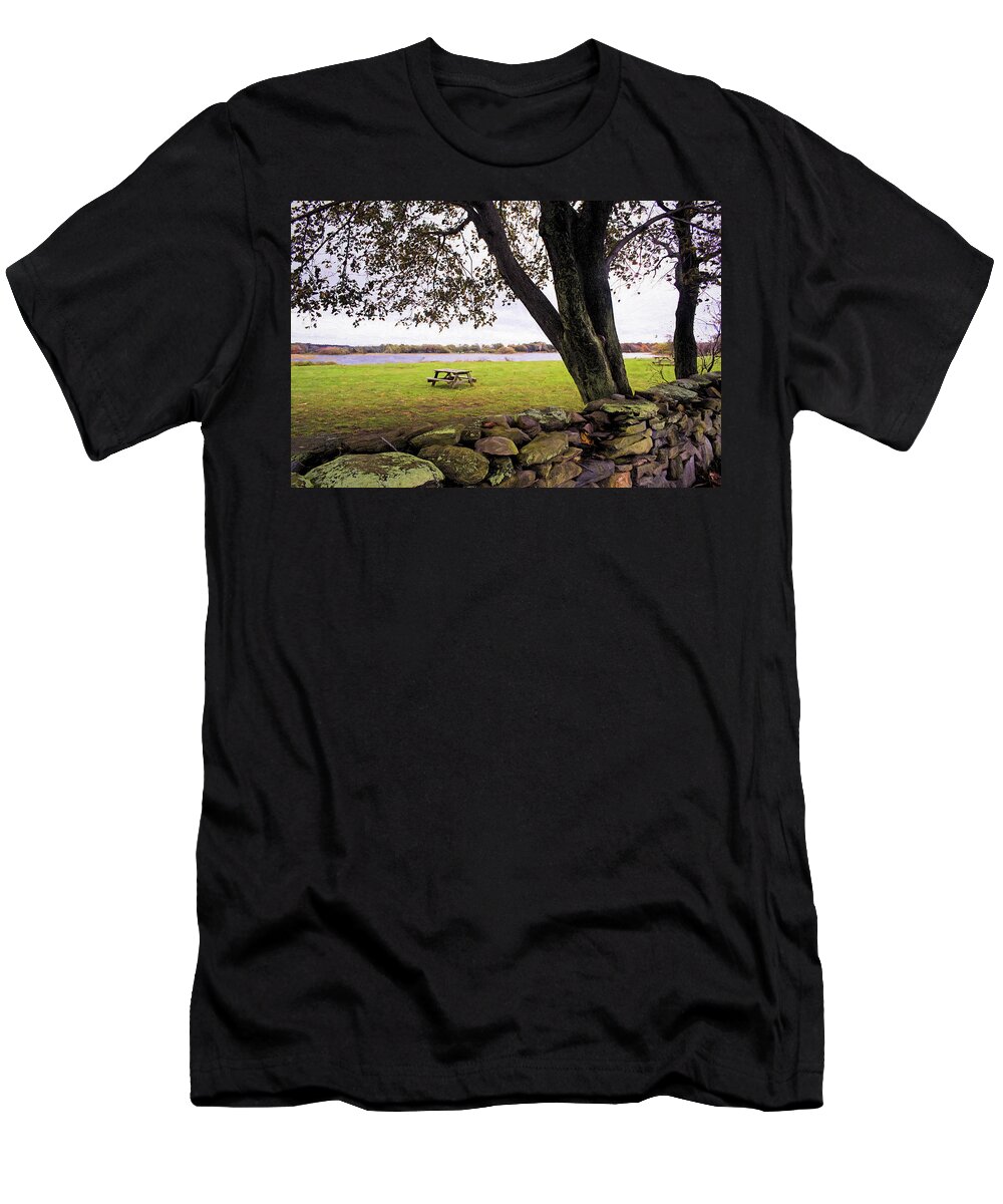 Stone Wall T-Shirt featuring the photograph Looking over the Wall by Nancy De Flon