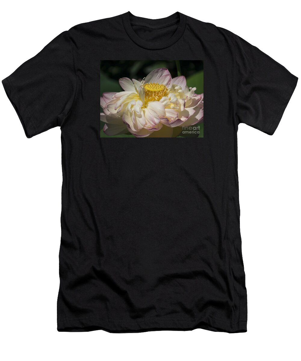 Flowers T-Shirt featuring the photograph Lotus 2015 by Lili Feinstein