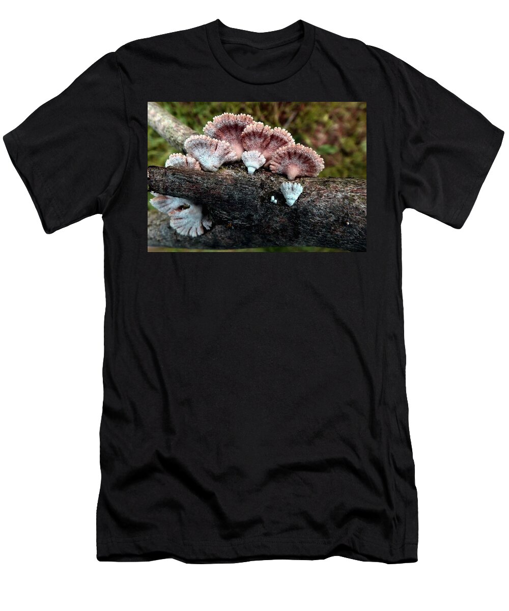 Psychedelic T-Shirt featuring the photograph Lovely Lichens by Danielle R T Haney