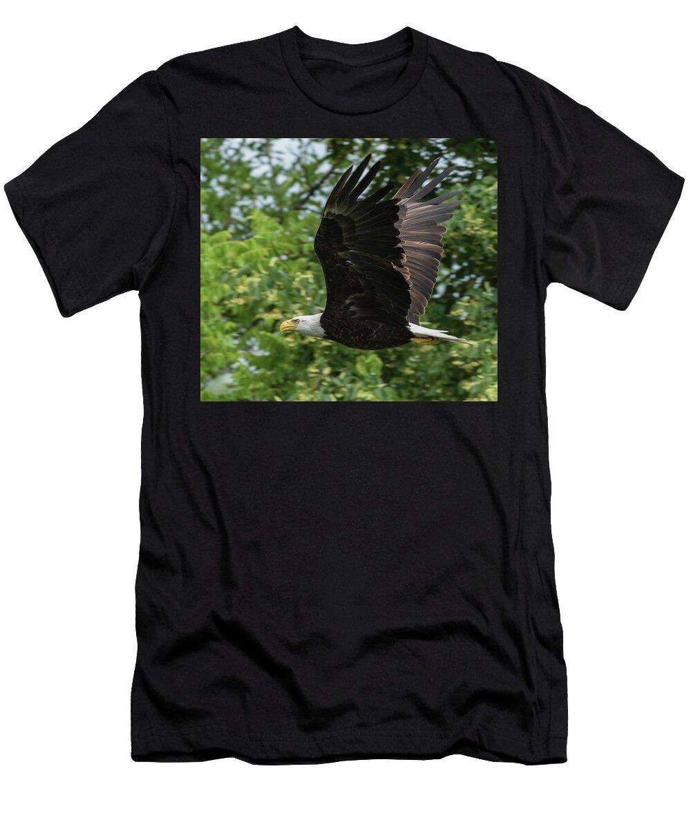 Bald Eagle T-Shirt featuring the photograph Low Level Fly-by by Michael Hall
