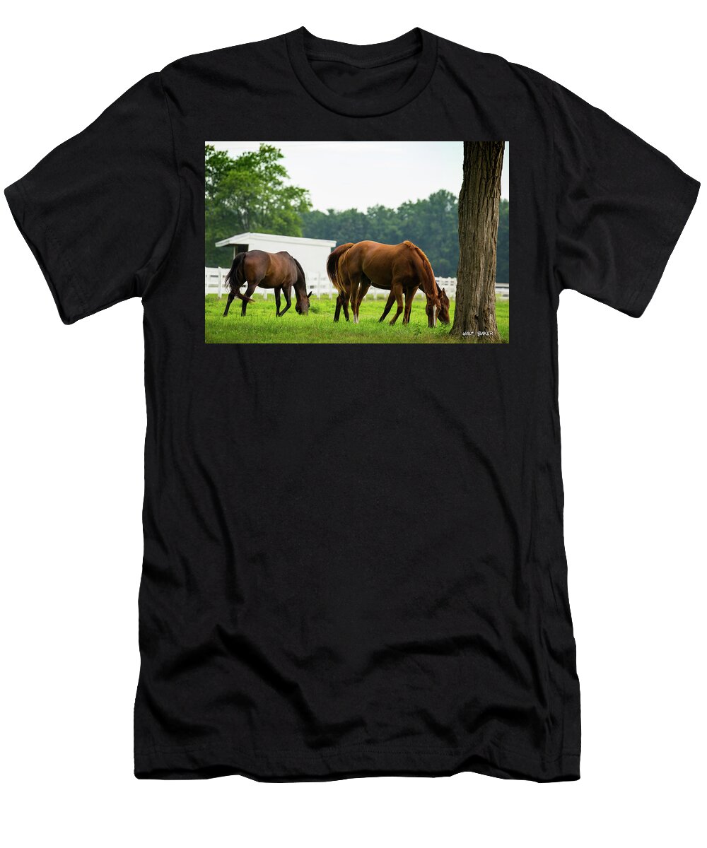 Horses T-Shirt featuring the photograph Lunch Time by Walt Baker