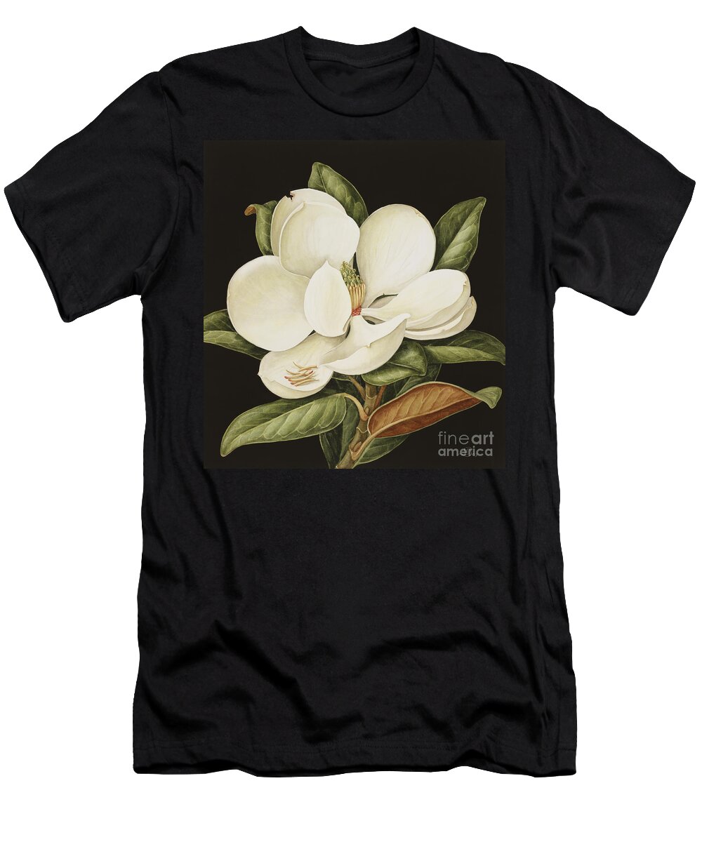 Still-life T-Shirt featuring the painting Magnolia Grandiflora by Jenny Barron