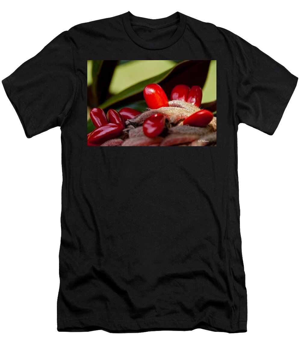 Seed T-Shirt featuring the photograph Magnolia Seeds by Christopher Holmes