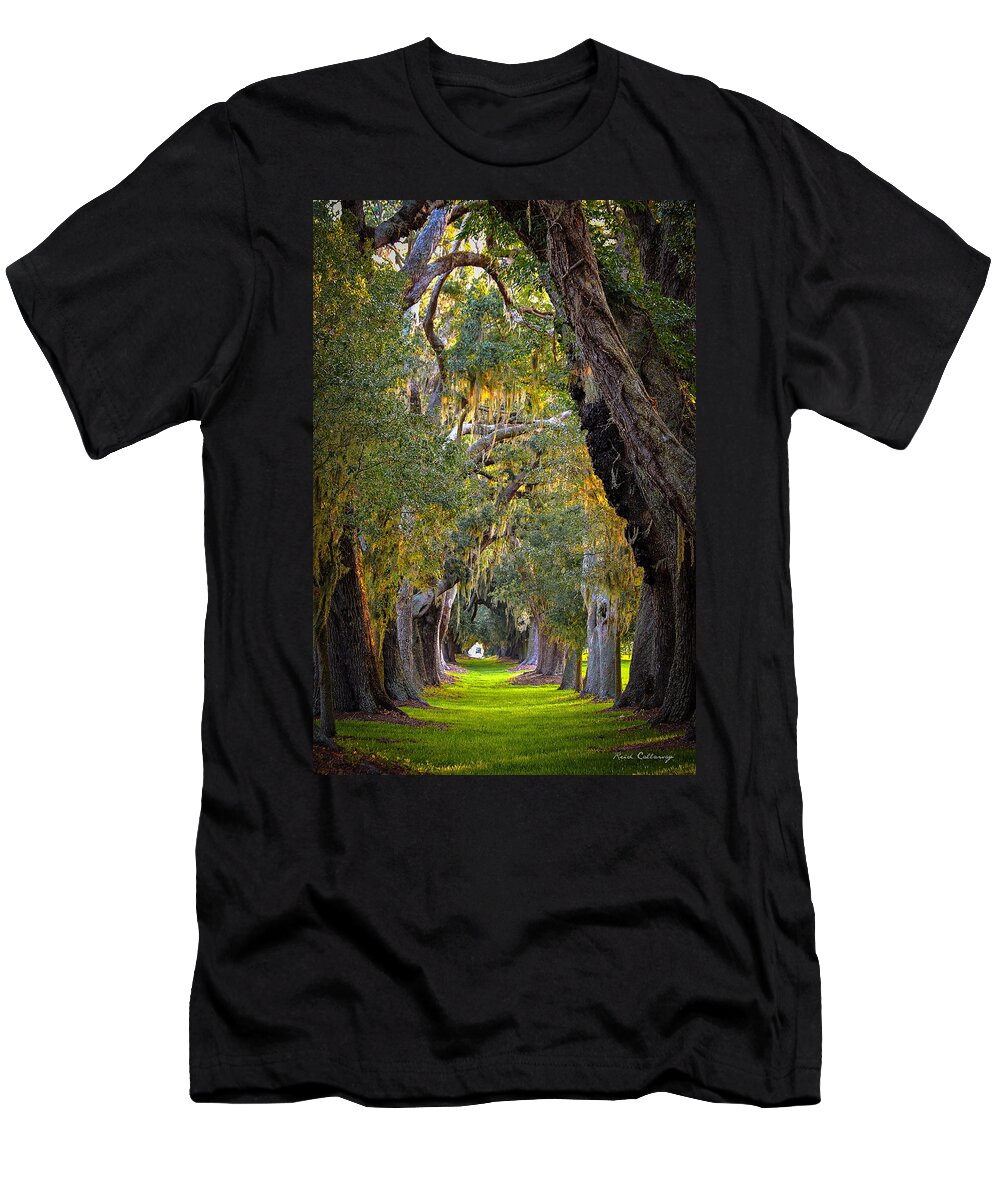 Reid Callaway Ave Of Oaks T-Shirt featuring the photograph Majestic Ave Of Oaks St Simons Island GA Tree Art by Reid Callaway