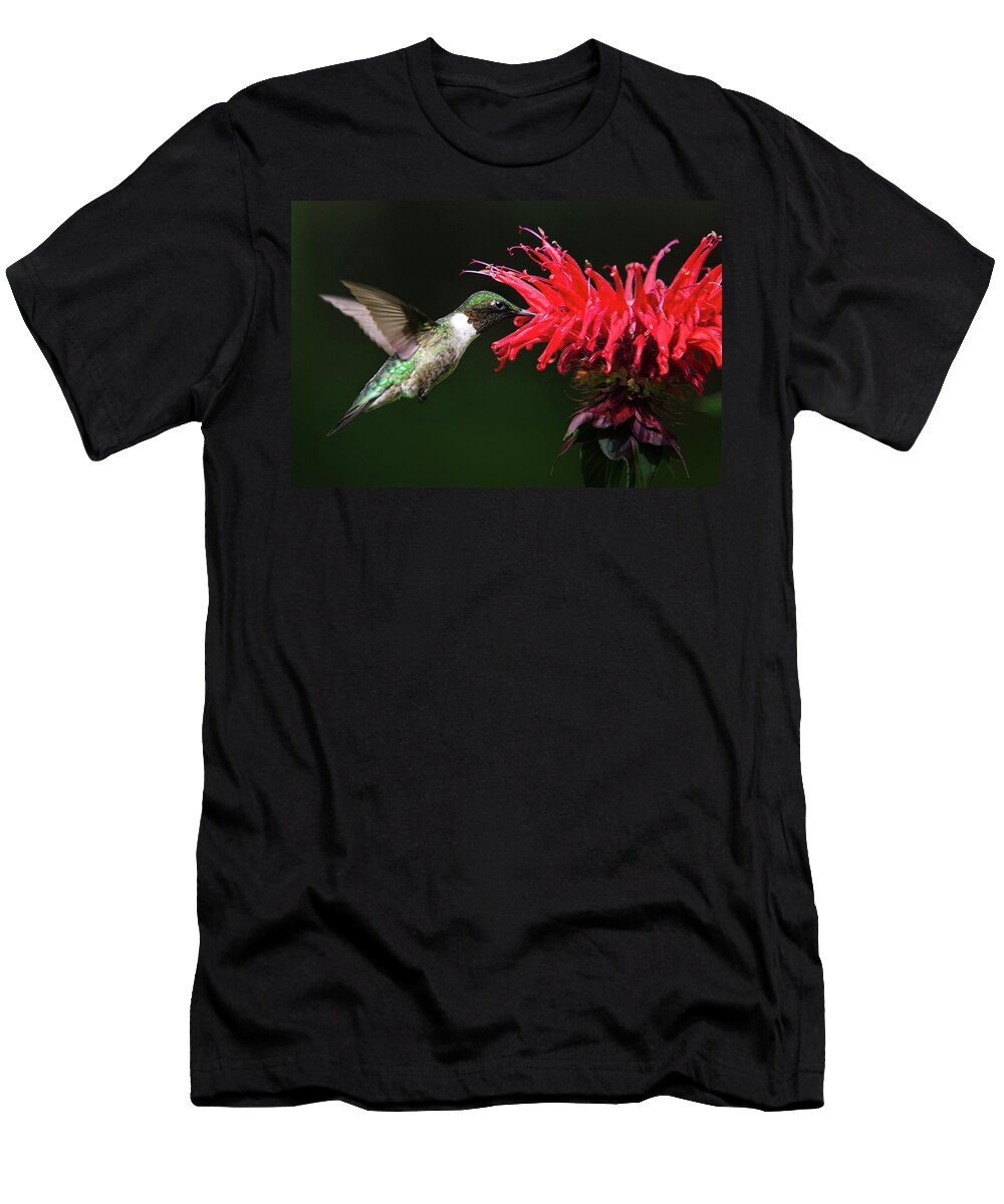 Hummingbird T-Shirt featuring the photograph Male Ruby Throated Hummingbird With Red Flower by Christina Rollo