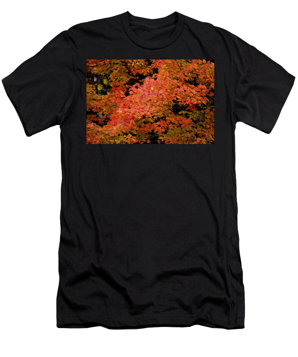 Red T-Shirt featuring the photograph Maple Leaves by Hella Buchheim
