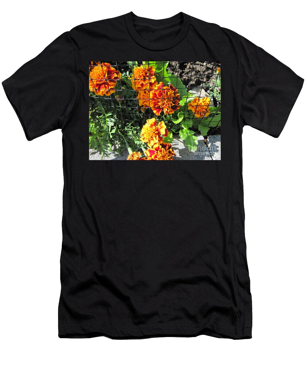 Portrait T-Shirt featuring the photograph Marigolds in Prison by Donna L Munro
