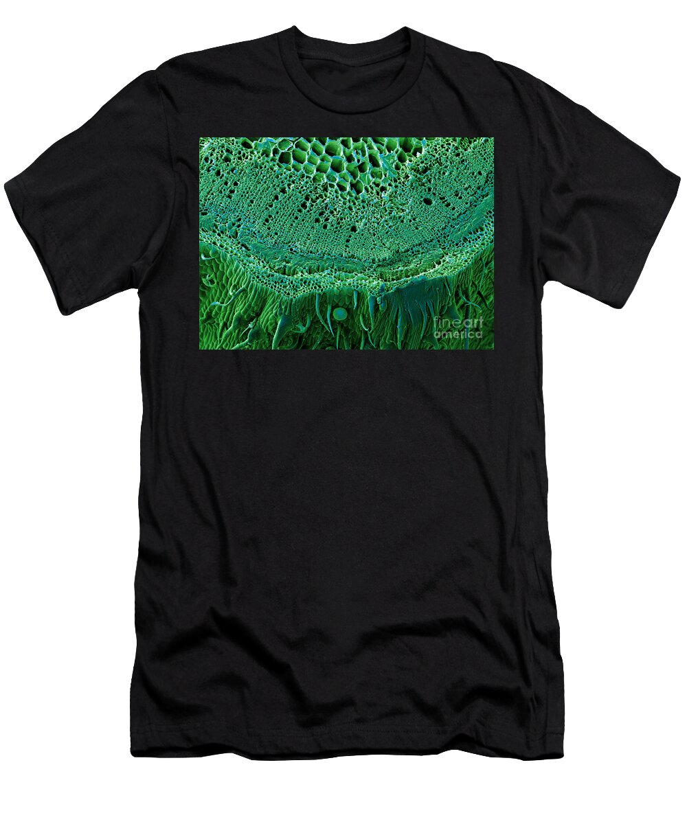 Biological T-Shirt featuring the photograph Marijuana Stem, Cannabis Sativa, Sem by Ted Kinsman
