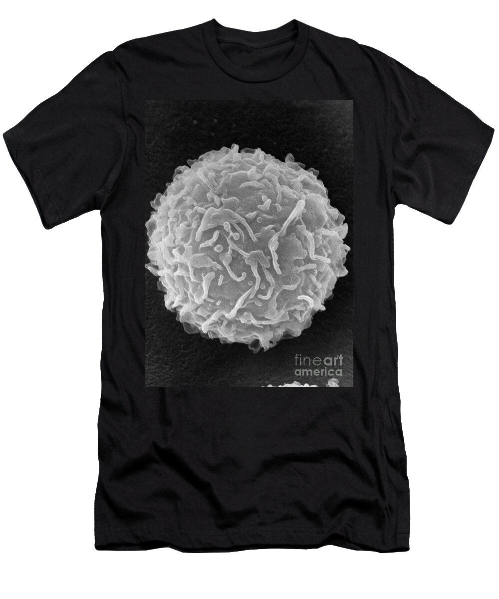 Biology T-Shirt featuring the photograph Mast Cell SEM by Don Fawcett and E Shelton and Photo Researchers