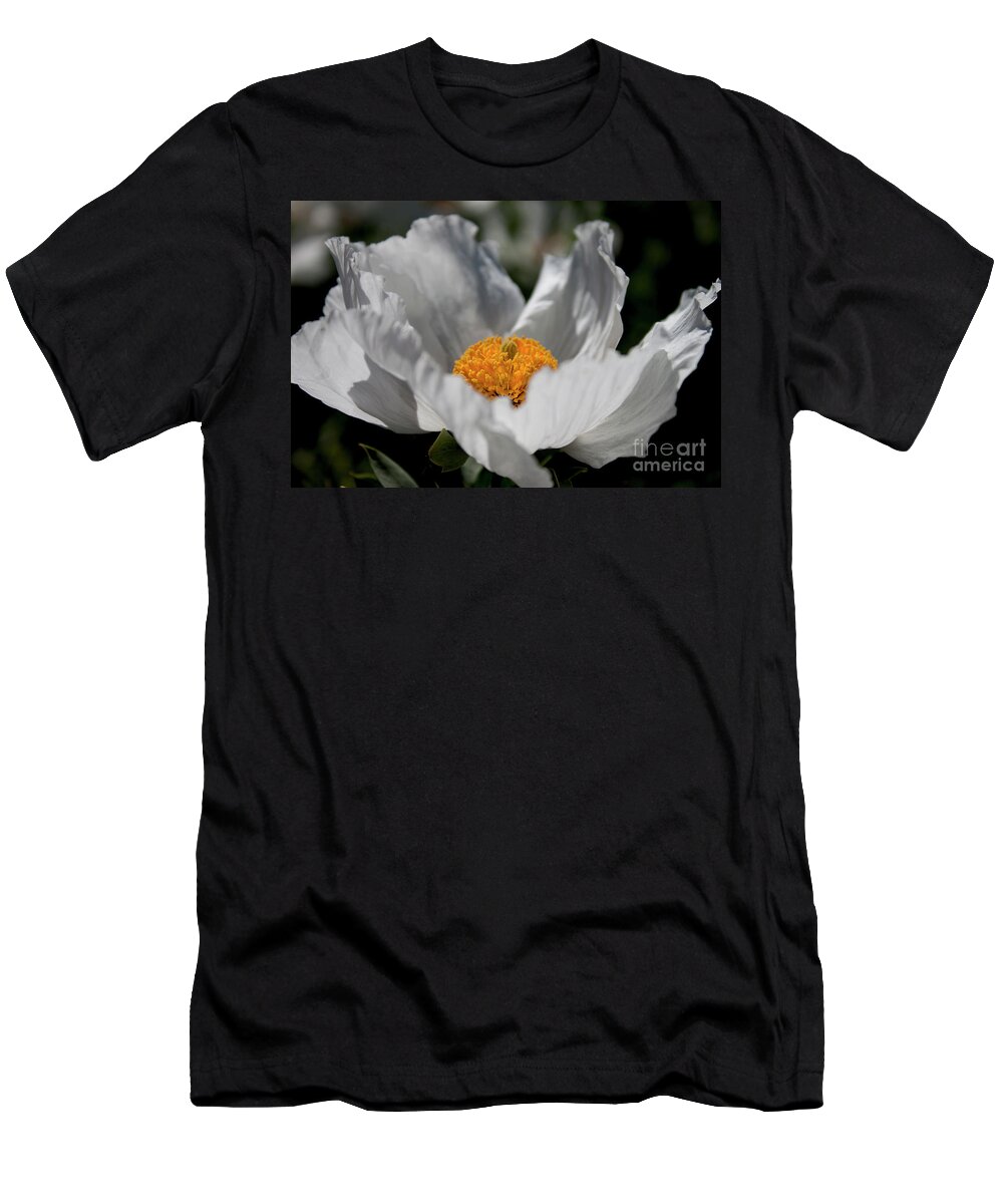 Matilija Poppy Flower.flowers T-Shirt featuring the photograph Matilija Poppy by Ivete Basso Photography