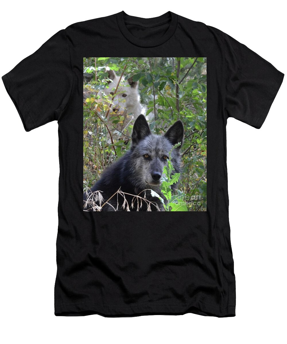 Wolves Wolf Dogs Animals Outdoors Friendship Teamwork Portrait T-Shirt featuring the photograph Me and My Shadow by Robert Buderman