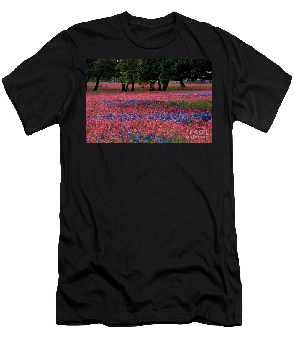 Color Spash T-Shirt featuring the photograph Meadow of bright red Paintbrush and Bluebonnets grow among Texas by Dan Herron