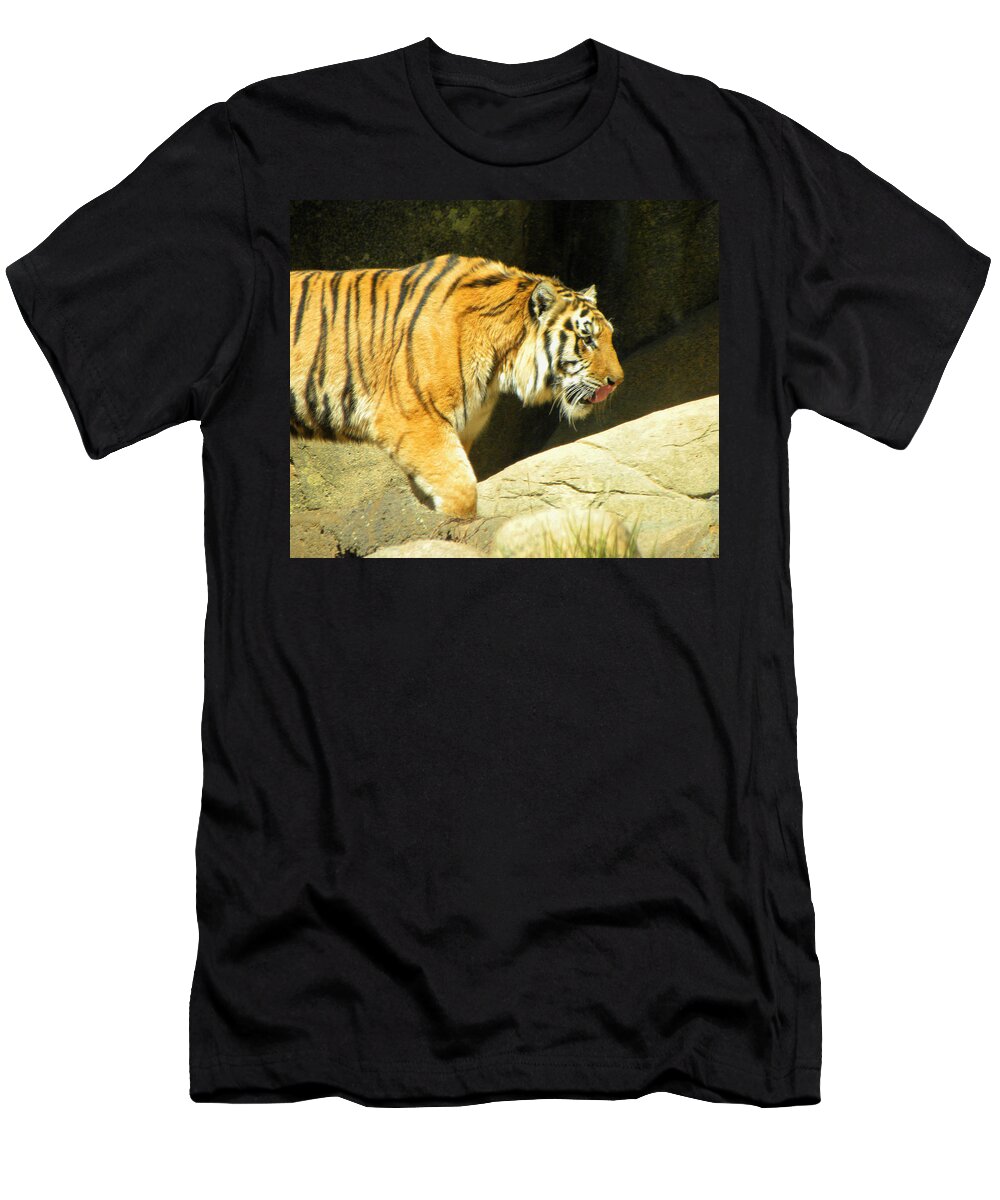Tiger T-Shirt featuring the photograph Meal Time by Sandi OReilly