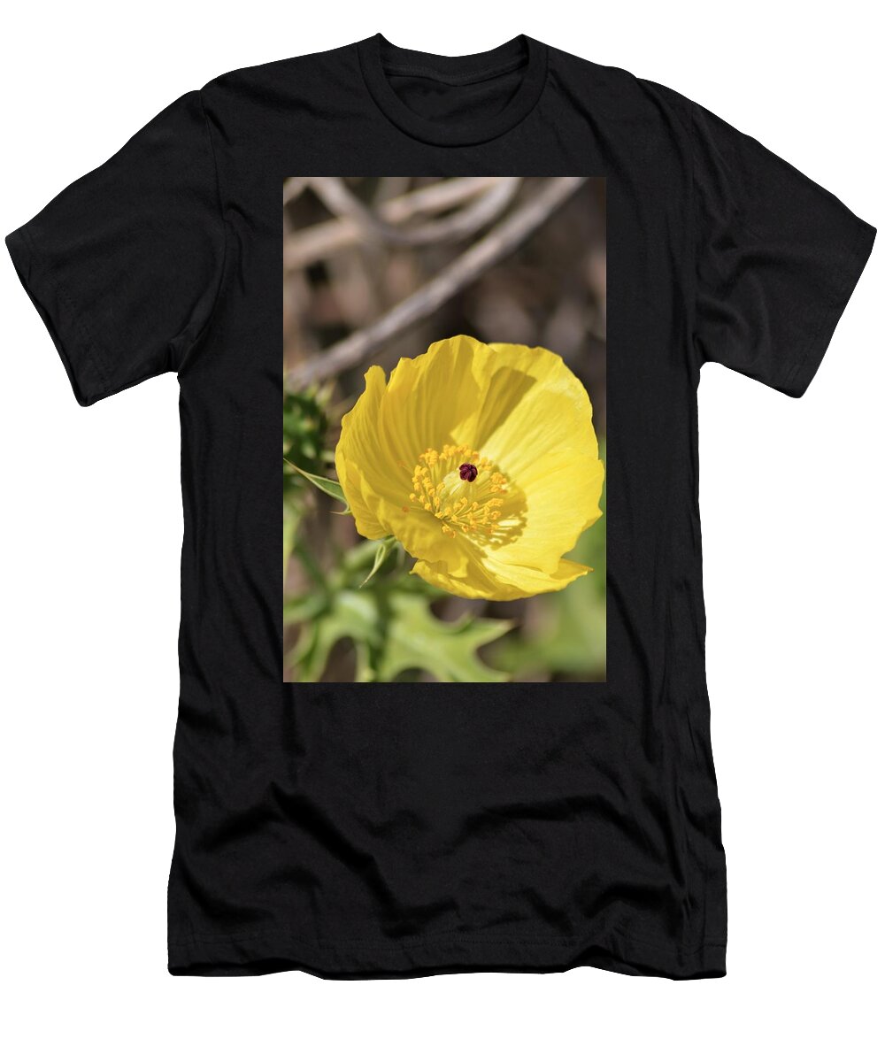 Mexican Poppy Light T-Shirt featuring the photograph Mexican Poppy Light by Warren Thompson