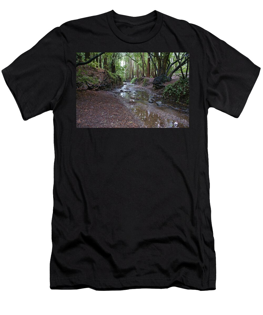 Mount Tamalpais T-Shirt featuring the photograph Miller Grove by Ben Upham III