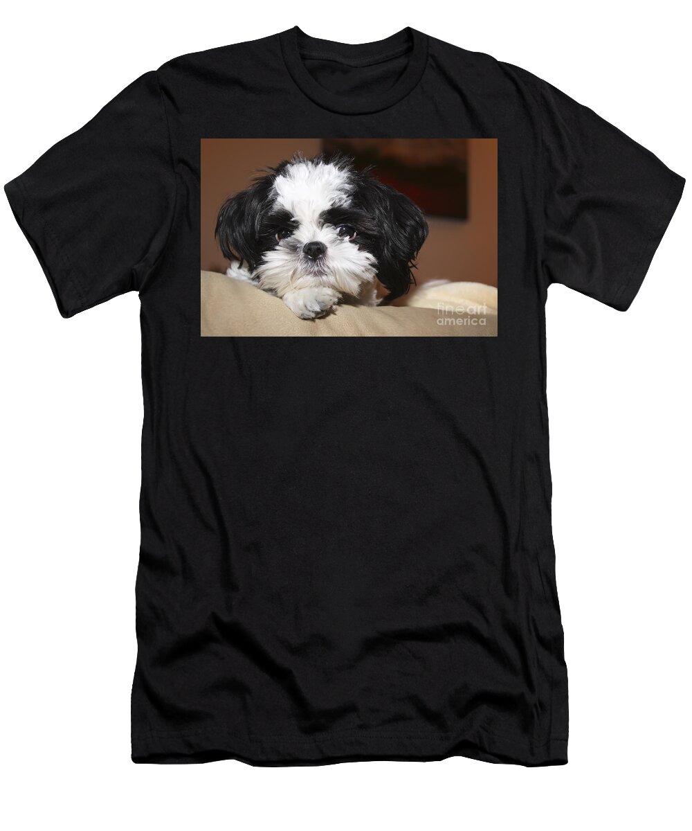 Animal T-Shirt featuring the photograph Milo by Teresa Zieba