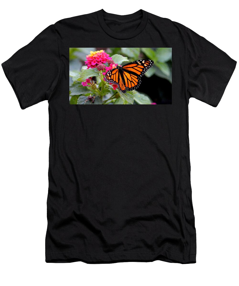 Butterfly T-Shirt featuring the photograph Monarch Butterfly by Liz Vernand
