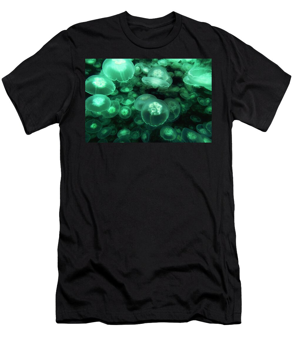 Mp T-Shirt featuring the photograph Moon Jellyfish off Alaska by Hiroya Minakuchi