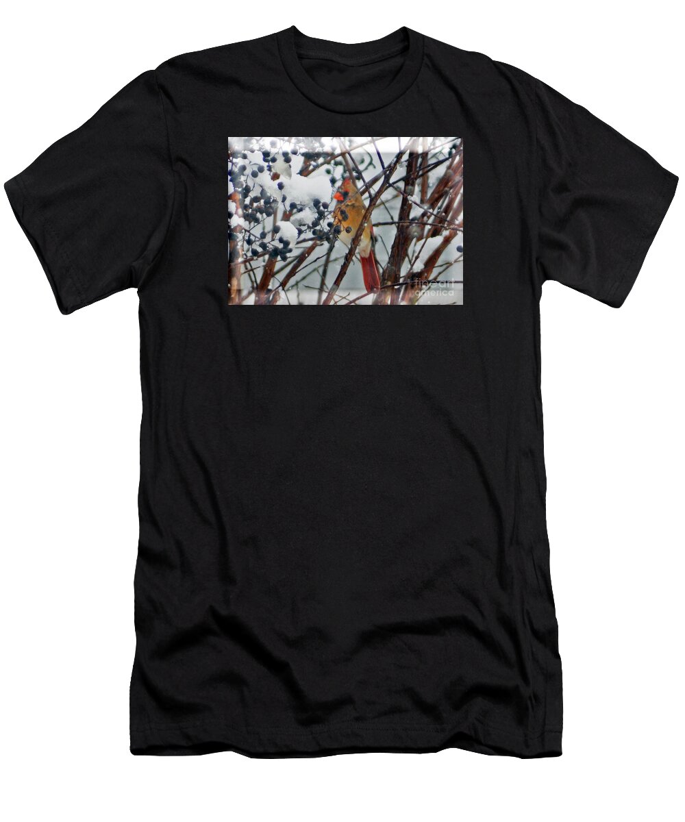 Cardinal T-Shirt featuring the photograph More Than a Cold Snap by Lydia Holly