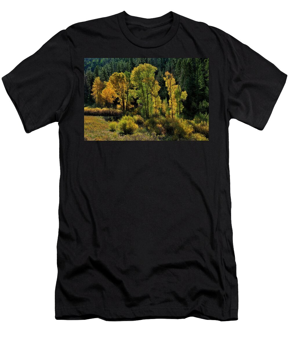 Landscape T-Shirt featuring the photograph Morning Cottonwoods by Ron Cline