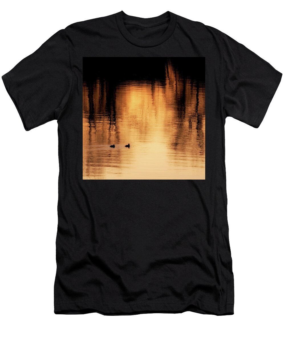 Square T-Shirt featuring the photograph Morning Ducks 2017 Square by Bill Wakeley