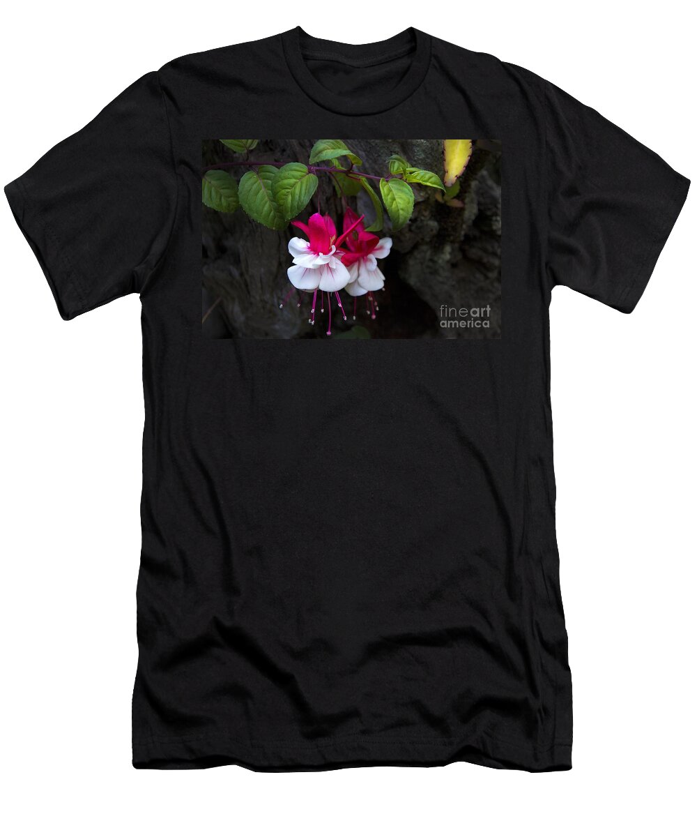 Nature T-Shirt featuring the photograph Mother Nature Is Amazing by Al Bourassa