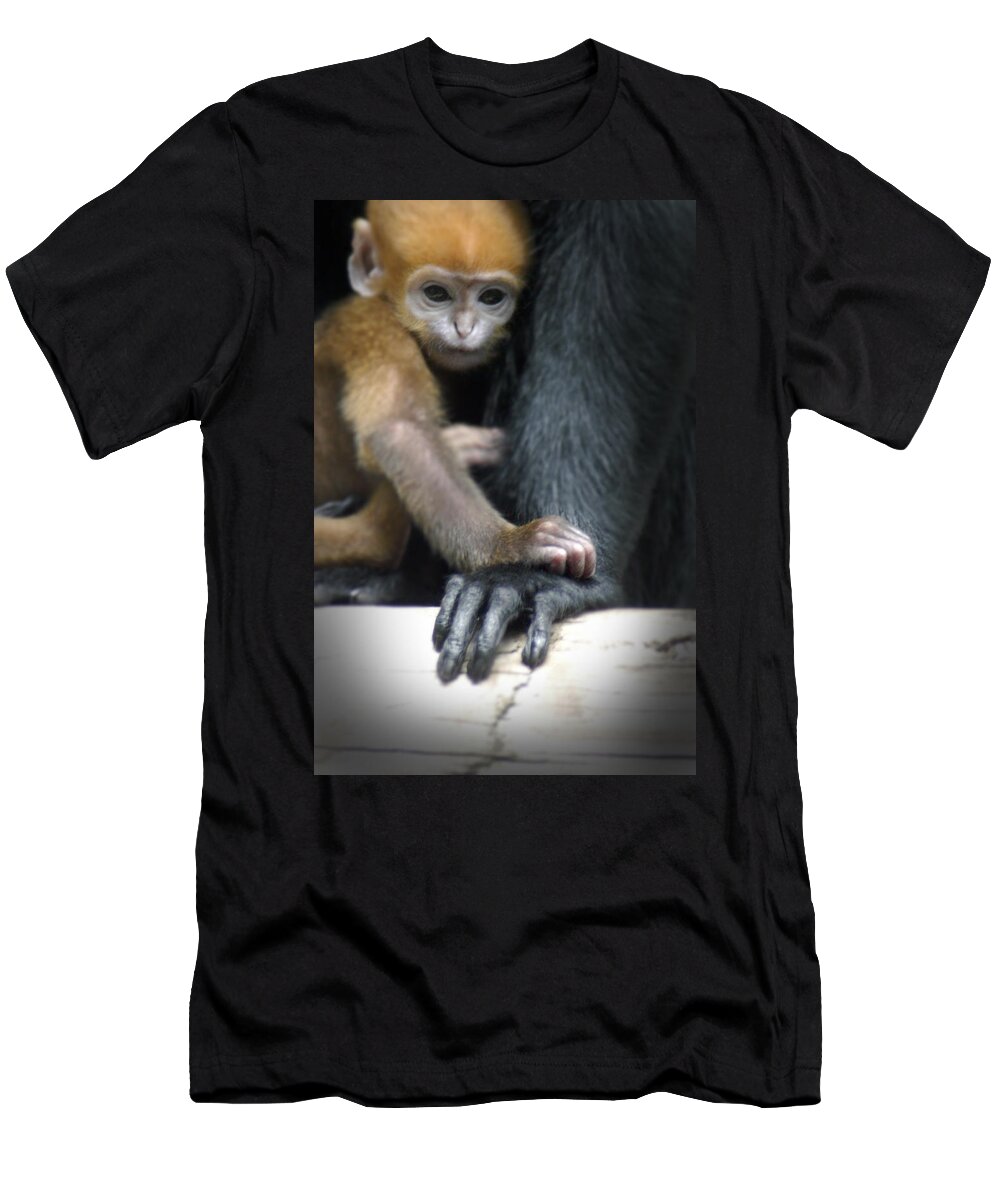 Baby T-Shirt featuring the photograph Motherhood - Primate by DArcy Evans