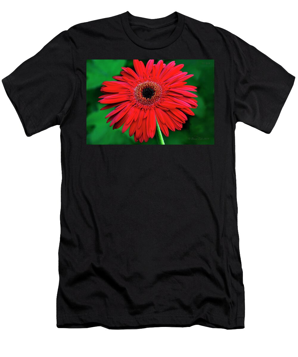 Gerbera T-Shirt featuring the photograph Mother's Day Gerbera Daisy by Brian Tada