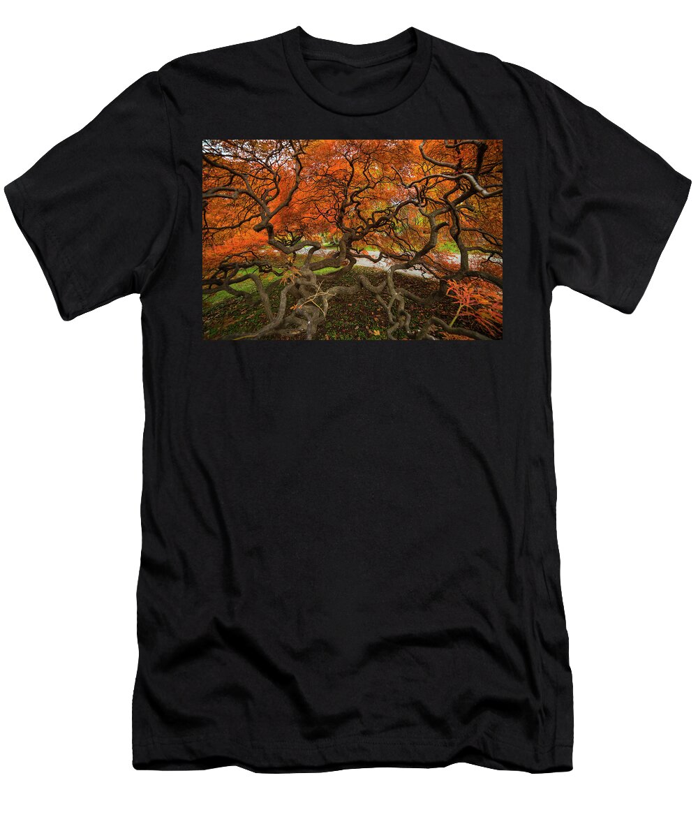 Mount T-Shirt featuring the photograph Mount Auburn Cemetery Beautiful Japanese Maple Tree Orange Autumn Colors Branches by Toby McGuire