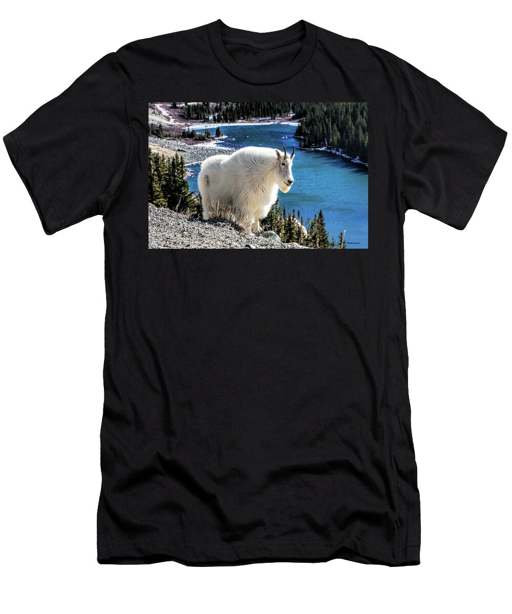 Mountain Goat T-Shirt featuring the photograph Mountain Goat at Lower Blue Lake by Stephen Johnson