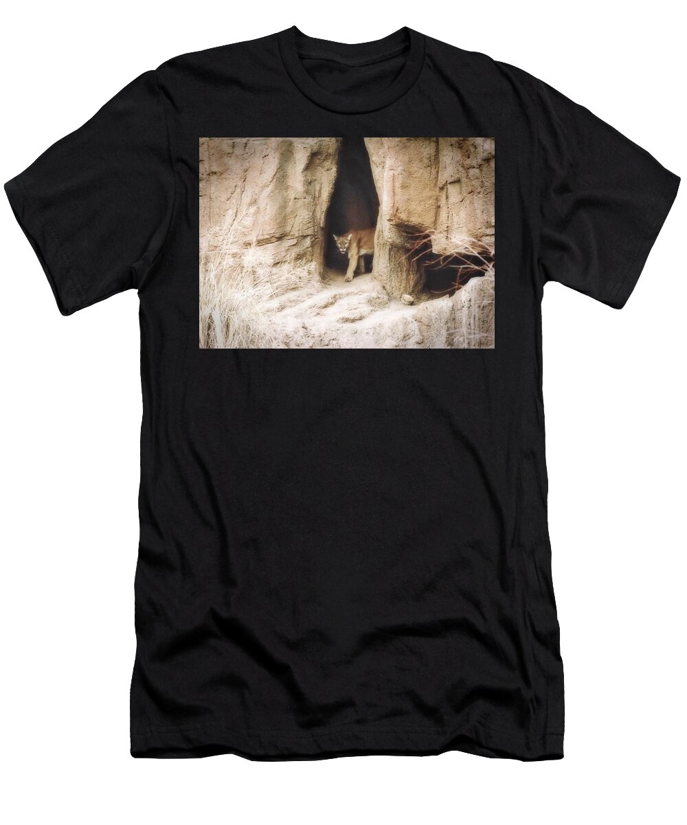 Arizona T-Shirt featuring the photograph Mountain Lion - Light by Judy Kennedy