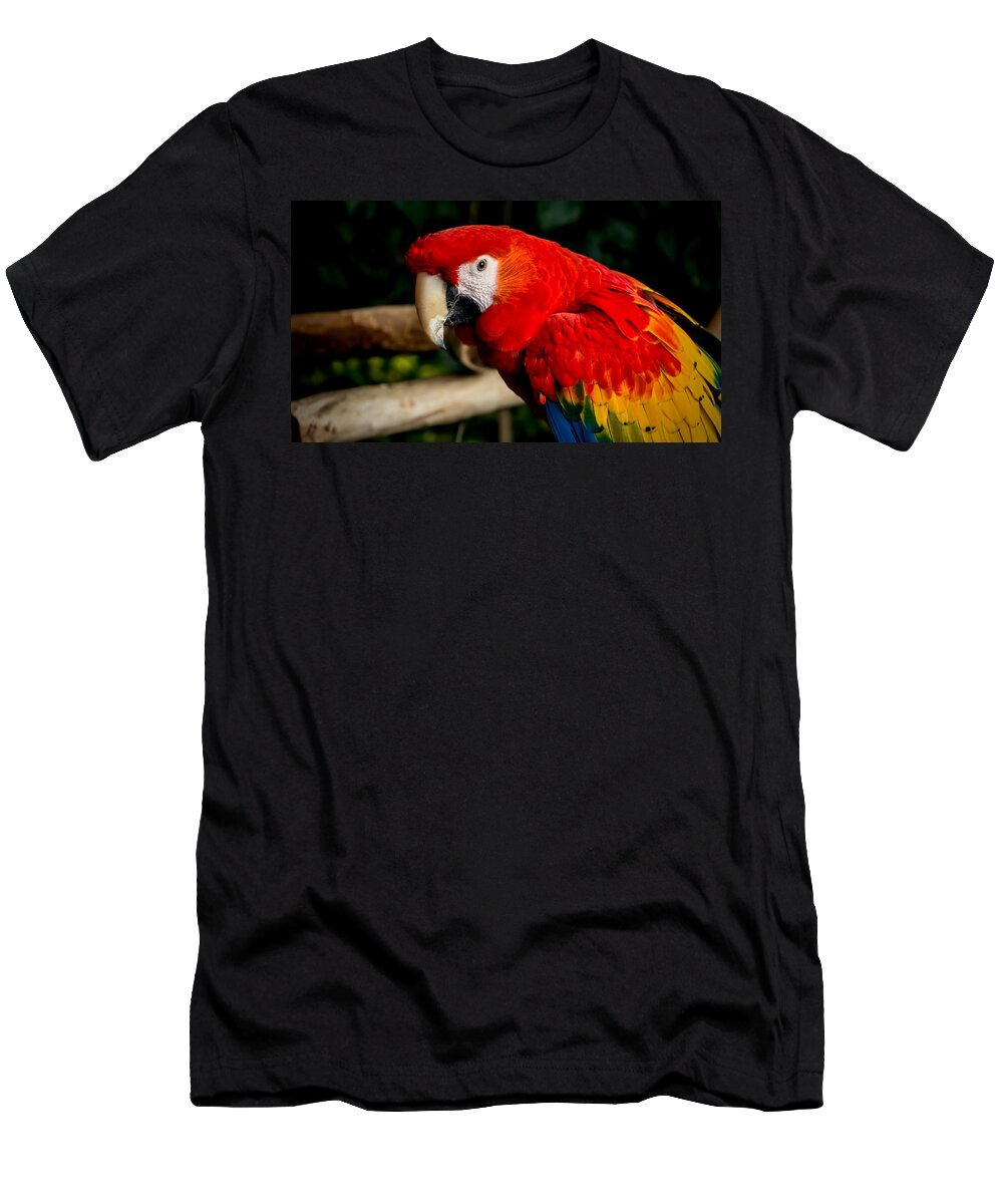 Art Prints T-Shirt featuring the photograph Mr Colorful by Dave Bosse