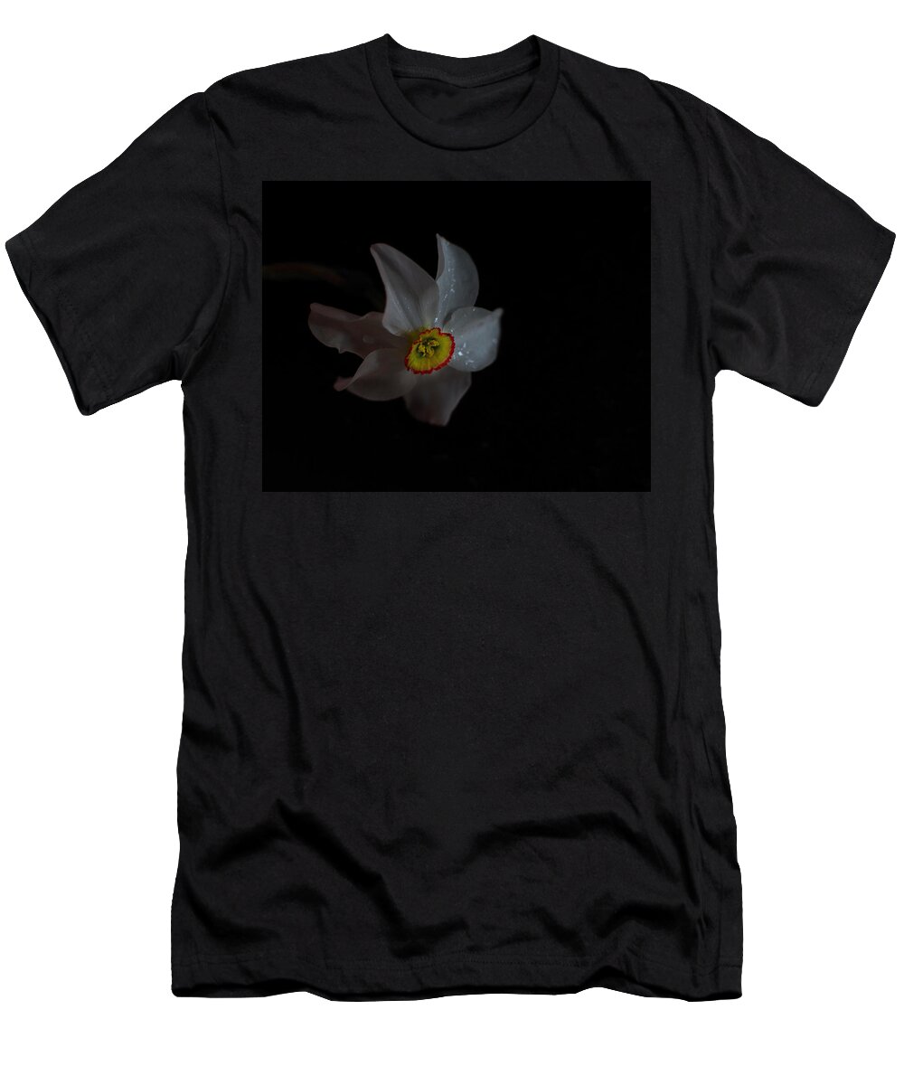 Nature T-Shirt featuring the photograph Narcissus by Sue Capuano
