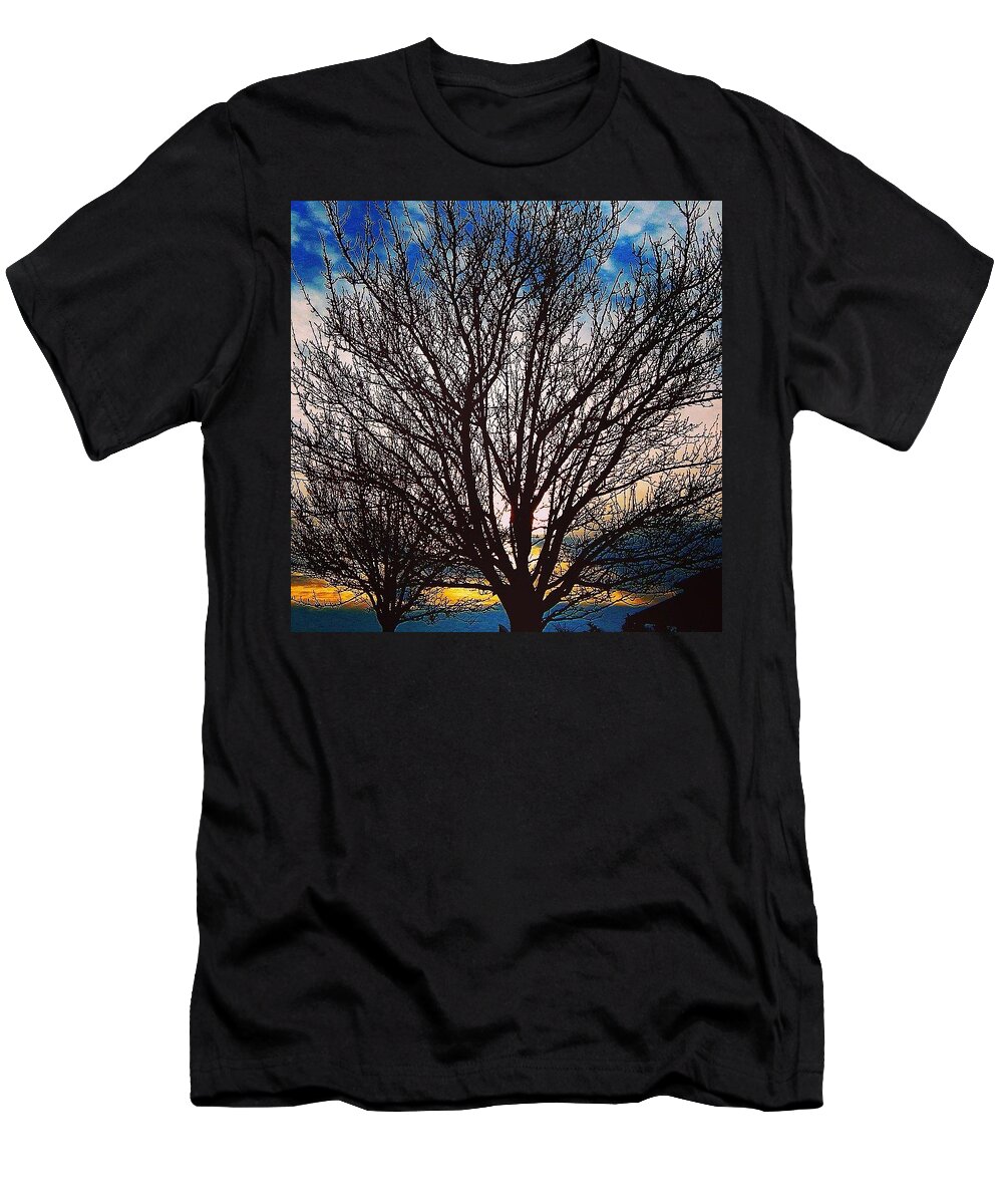 Tree T-Shirt featuring the photograph The Giving Tree by Kate Arsenault 