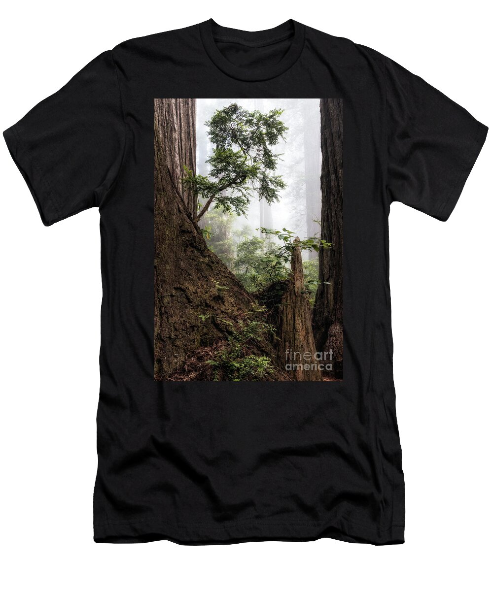 Afternoon T-Shirt featuring the photograph New Growth At Last Chance by Al Andersen