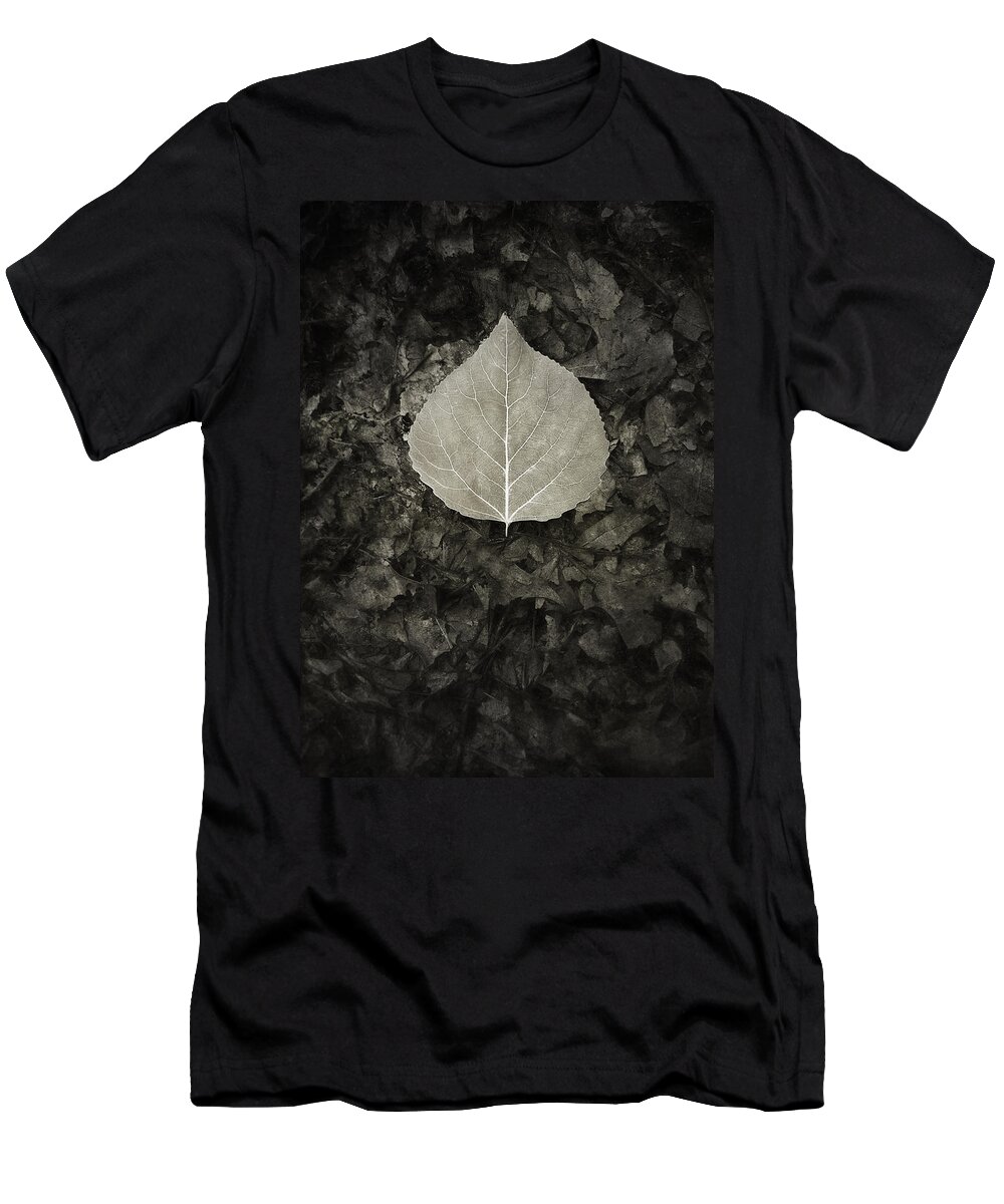 Leaf T-Shirt featuring the photograph New Leaf on the Old by Scott Norris