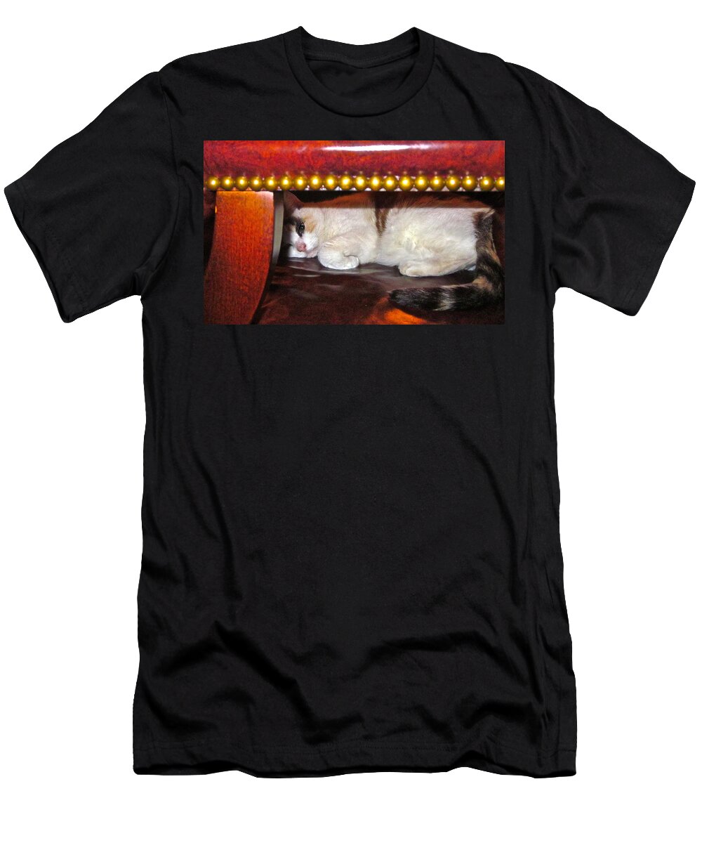 Cat Photograph T-Shirt featuring the photograph No Cameras Please by Gwyn Newcombe