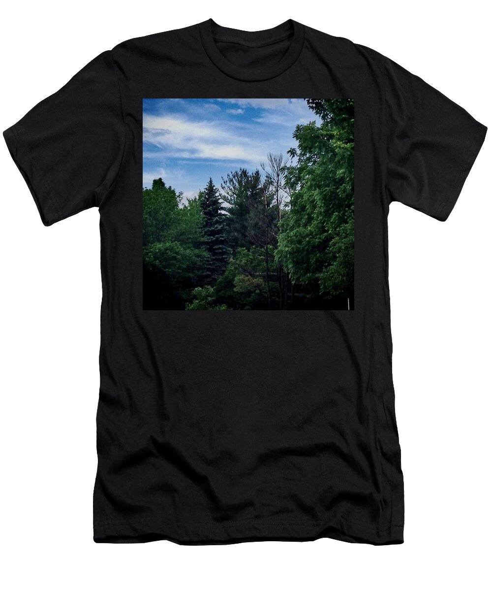 Decor T-Shirt featuring the photograph No Noise In Illinois by Frank J Casella