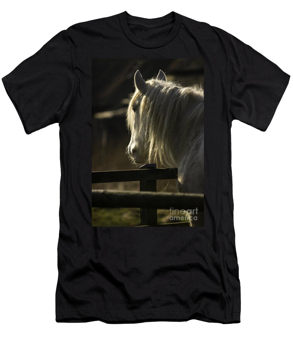 Horse T-Shirt featuring the photograph Nostalgy by Ang El