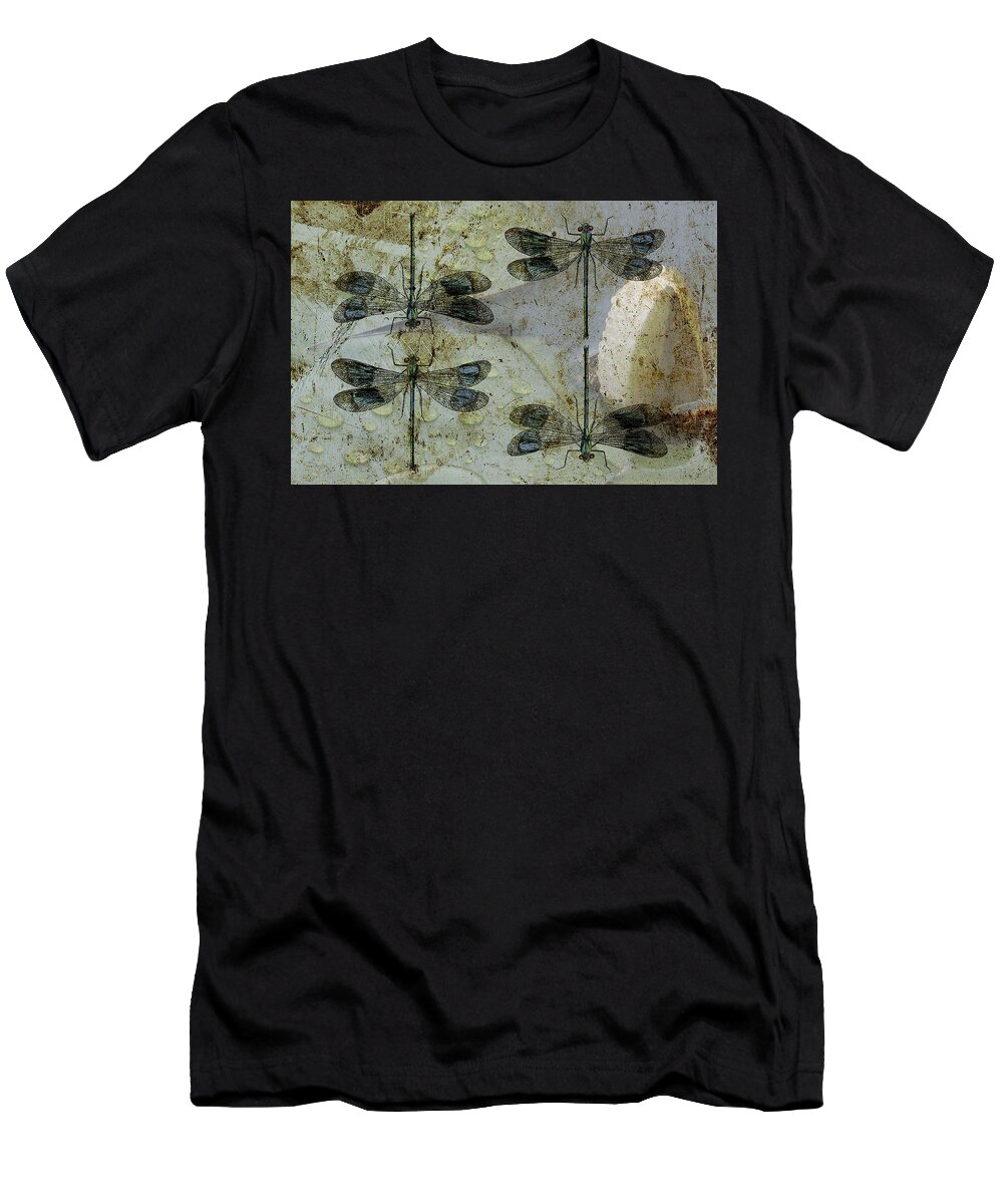 Rumor T-Shirt featuring the photograph Nothing But a Rumor II by Char Szabo-Perricelli