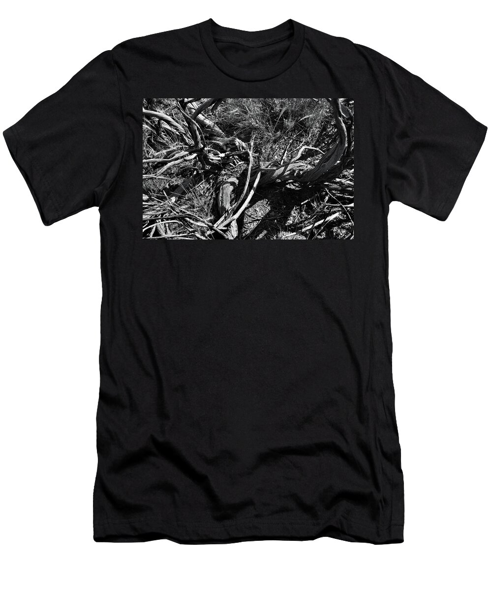 Nature T-Shirt featuring the photograph Old Sagebrush Remains by Ron Cline
