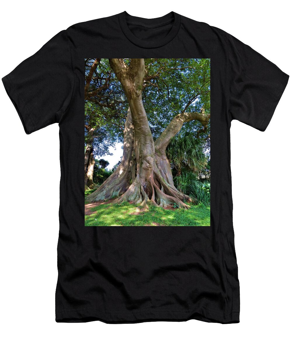 Trees T-Shirt featuring the photograph Old Tree by Vijay Sharon Govender