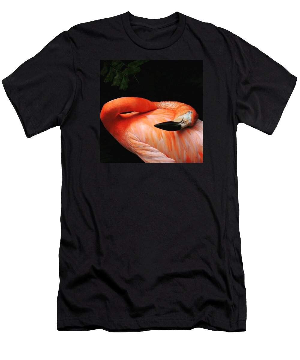 Flamingo T-Shirt featuring the photograph Flamingo at Rest by Claudia Miller